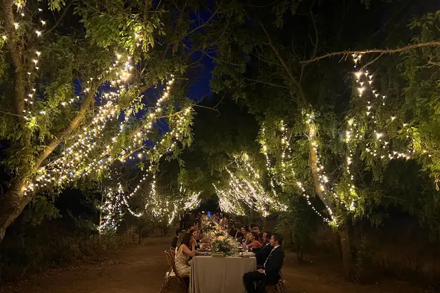 Cena íntima bajo los árboles